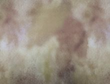 ROMANI TEXTURE – BROWN - HIBOTEX INDUSTRIES - Manufacturer and Exporter of high quality woven Jacquard Furnishing & Garment Fabrics - Jacquard Fabric Manufacturer & Exporter offering wide range of woven quality fabrics